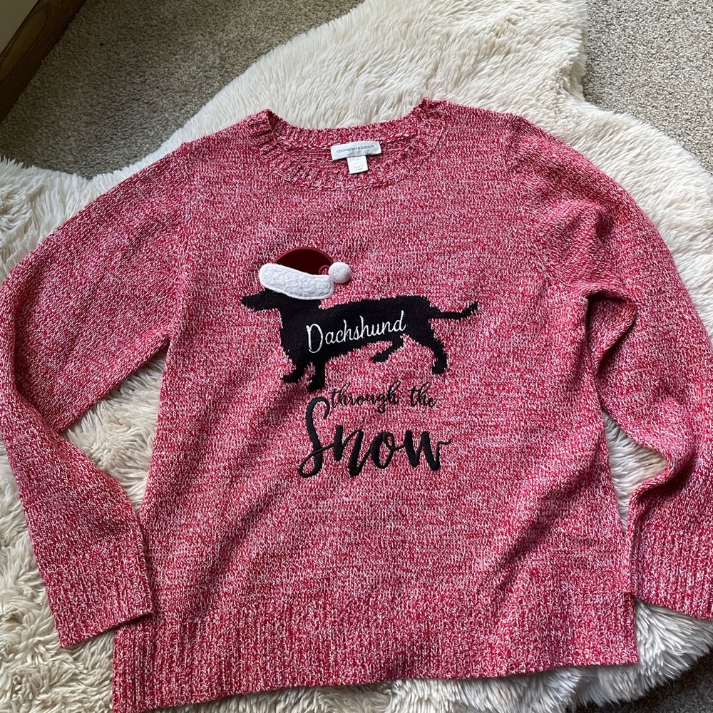 Dachshund Through The Snow Christmas Sweater - M